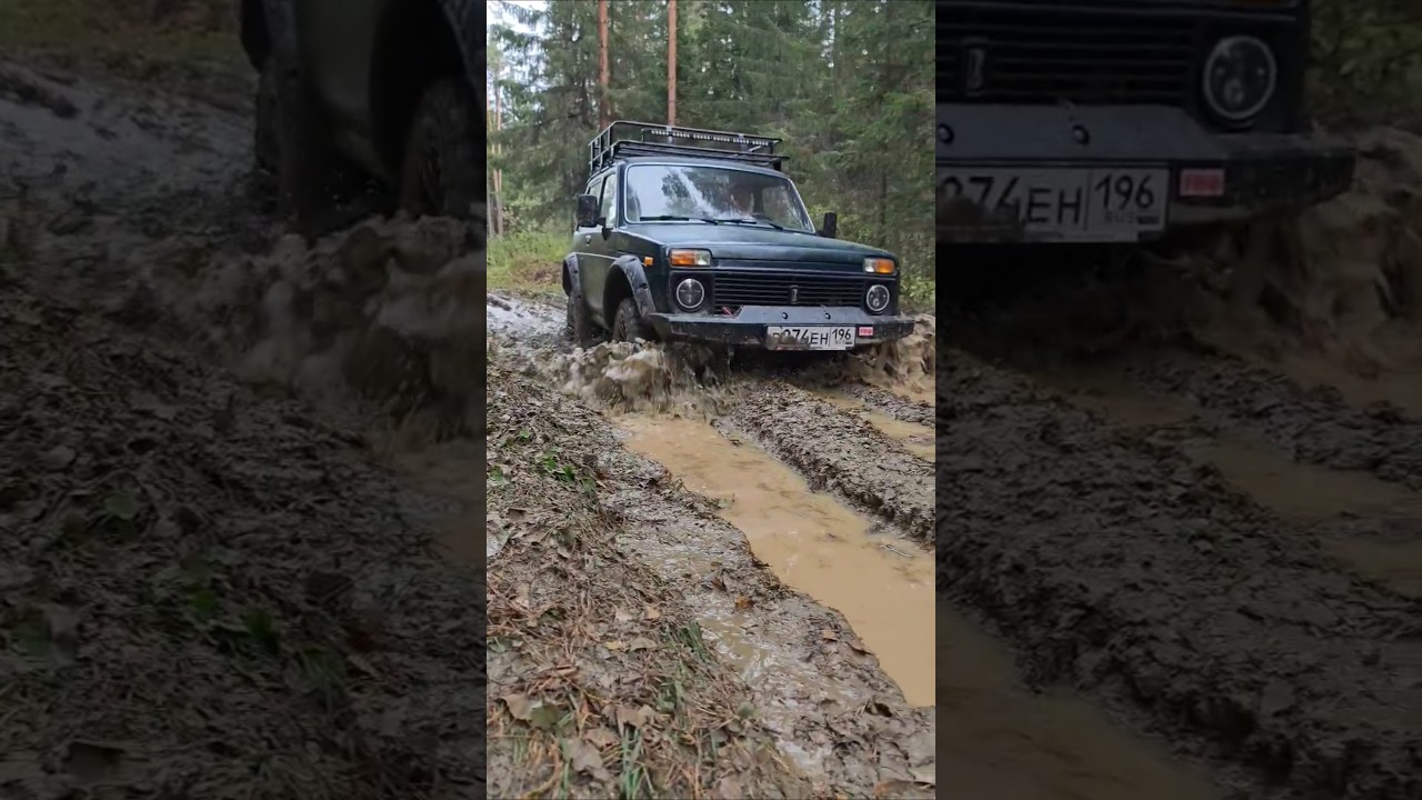 На ниве через небольшую лужу #2024 #automobile #offroad #forest #patrol #adventure #природа #авто