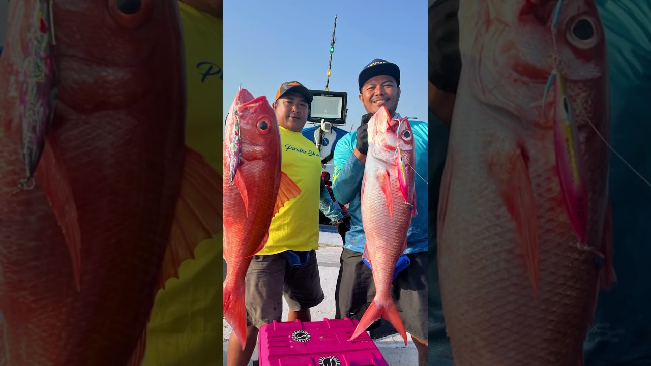 Moment landed ikanya yuhuu #fishing #jiging #mancing #jigging #mancingmania