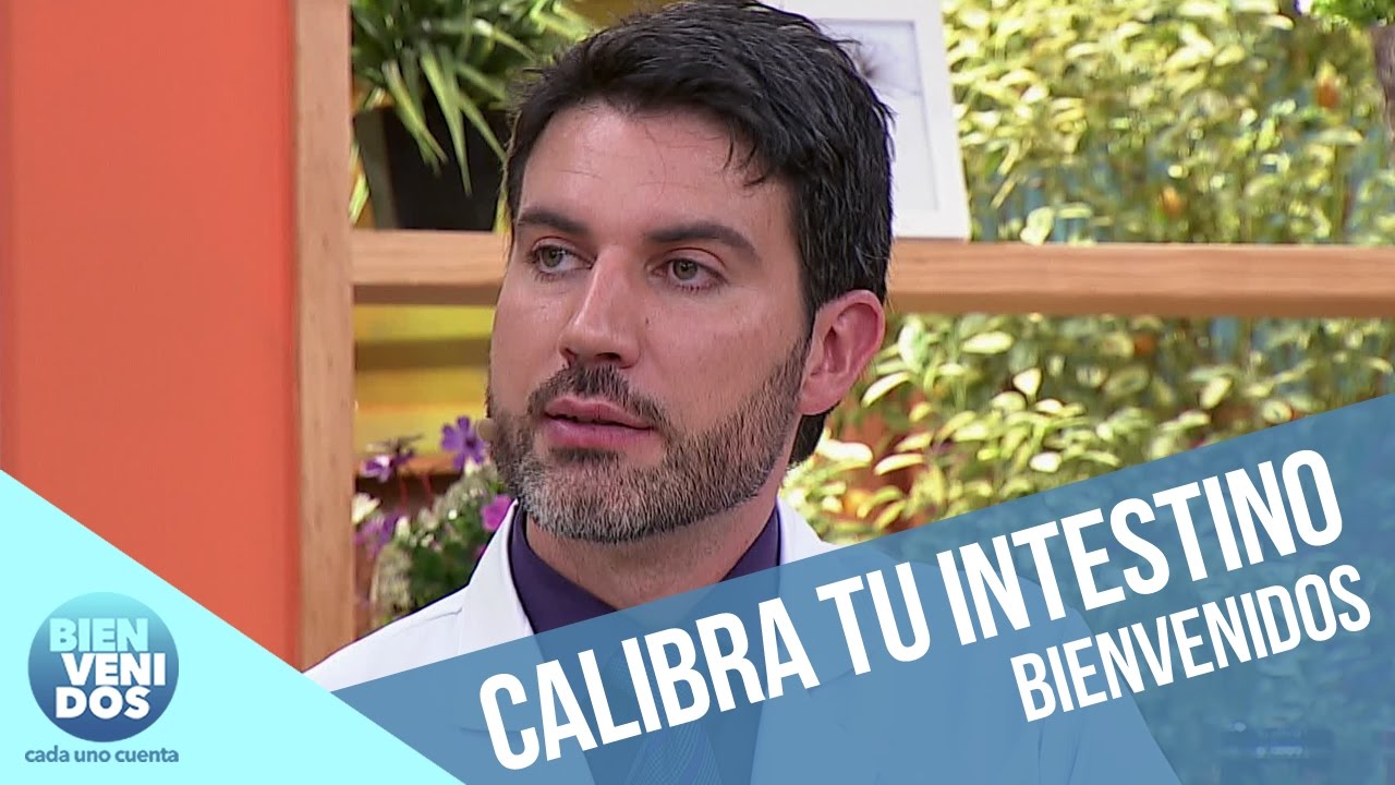 Intestino grueso y su función emocional | Bienvenidos