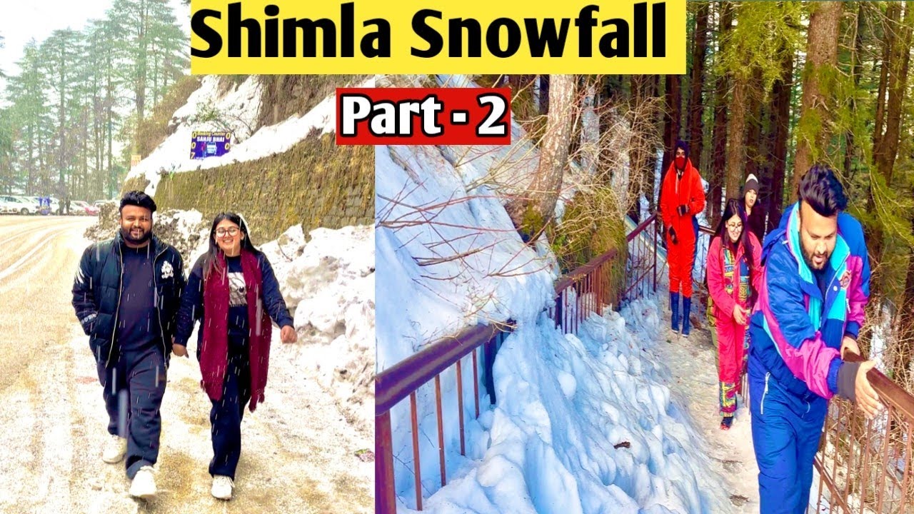 Shimla Snowfall Feb Month 2026 | Shimla Snowfall update  Part 2