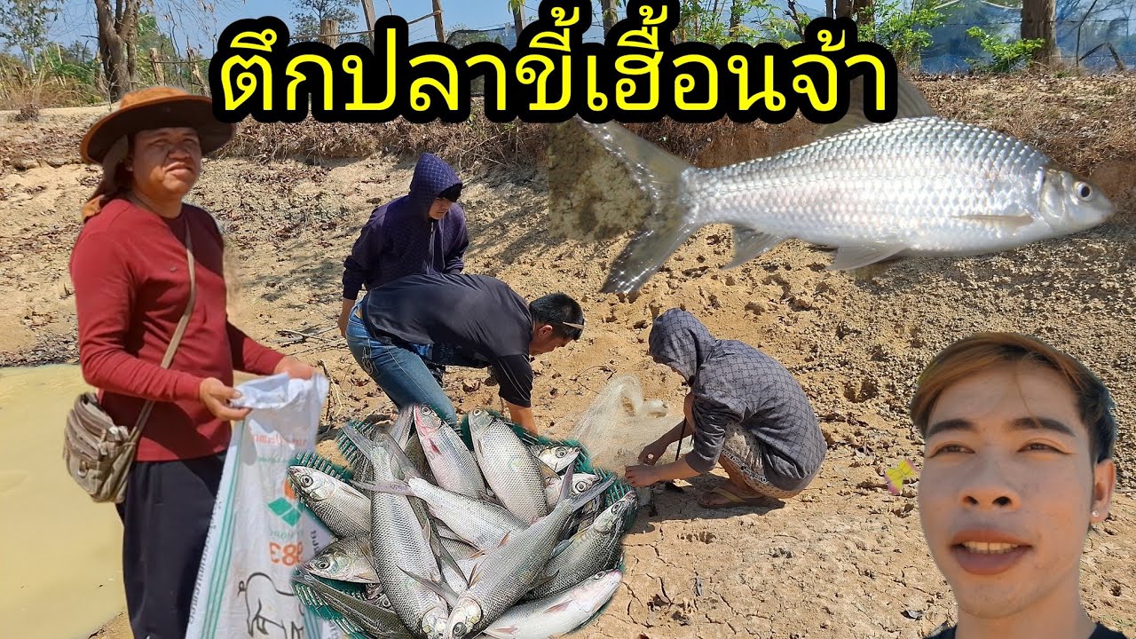 Ep: 1290 ลงหนองอ้ายแขก ตึกปลาขี้เฮื้อนขื้นมากินจ้า