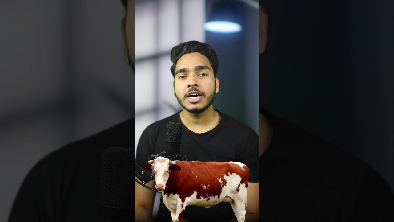 Cow or Buffalo Milk? Which is better