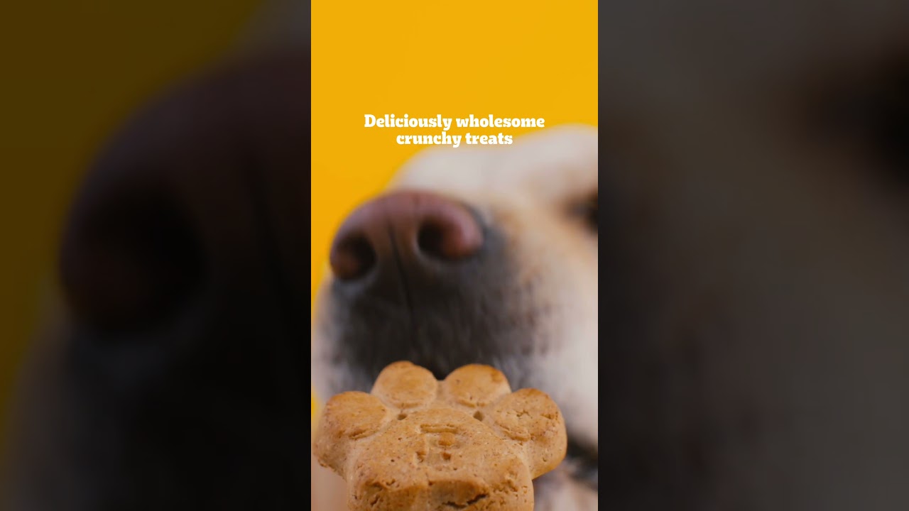 Grab our new #TASTYBISCUITS only on Walmart.com 🐾