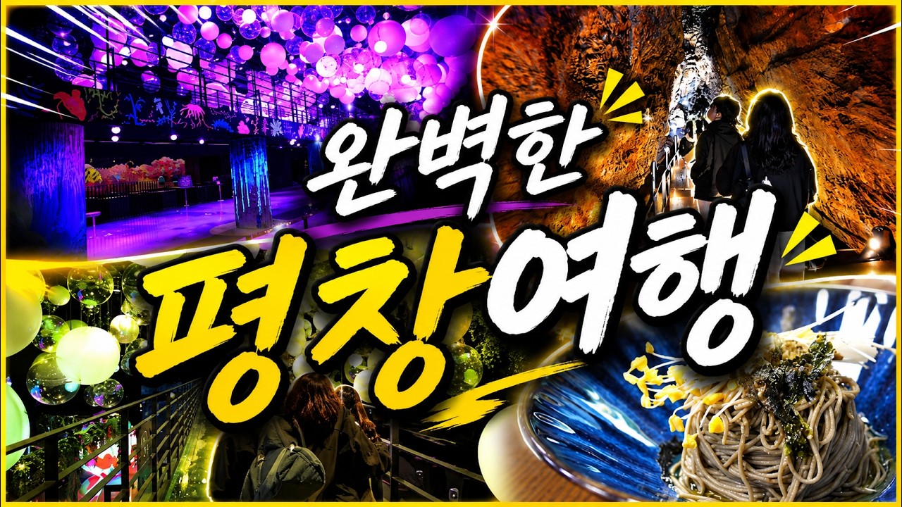 완벽한 가족여행 아이들과 평창 당일코스 TOP. 4 | 어른도 아이도 반한 하루 완벽코스 4곳｜천선굴 + 봉평 메밀미가연 + 대관령 코스터 + INART 미디어아트
