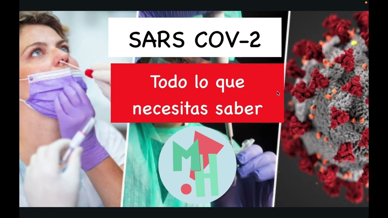 Todo lo básico del Sars CoV2