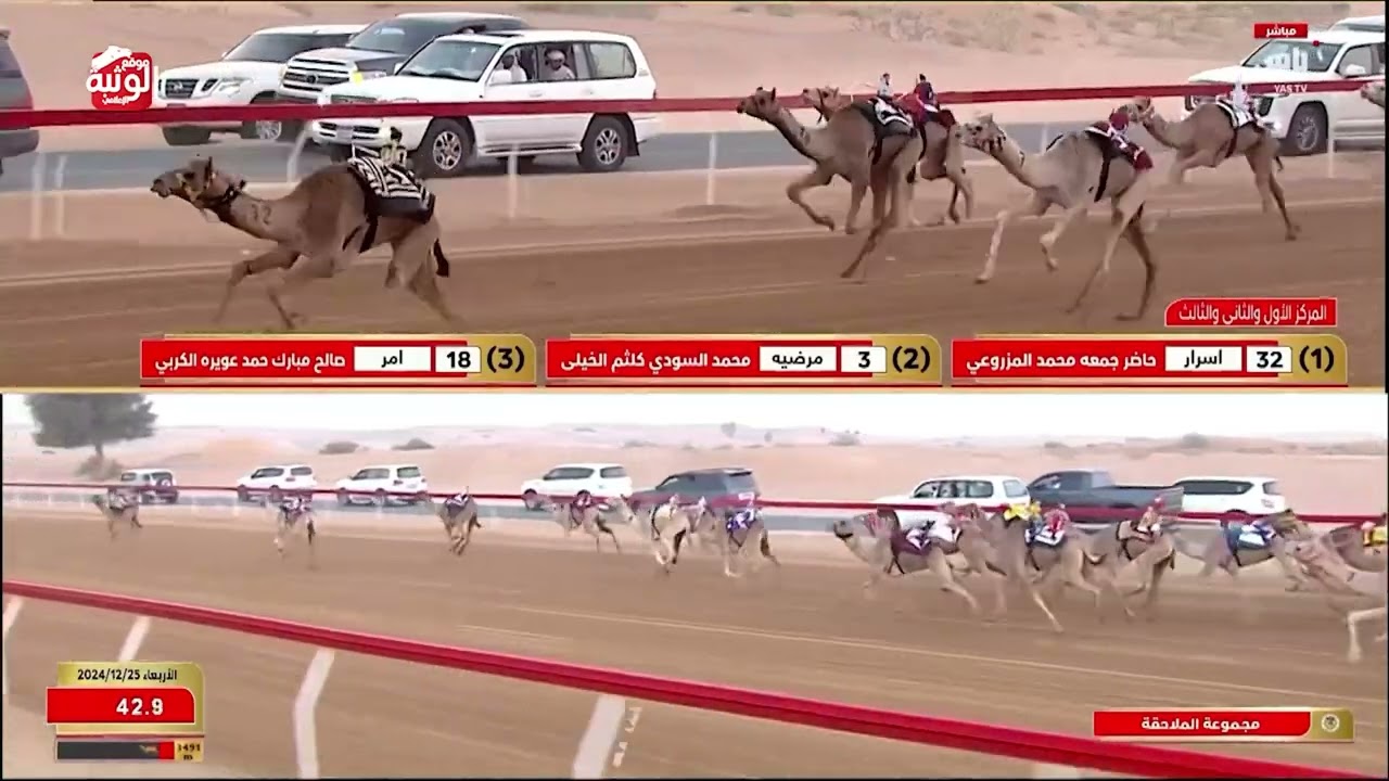 الشوط 1 (شخصيه) لـ اسعد سعيد راشد الجحافي 6:02:67 مهرجان الشيخ محمد بن زايد 2024/12/25 حقايق اللبسة