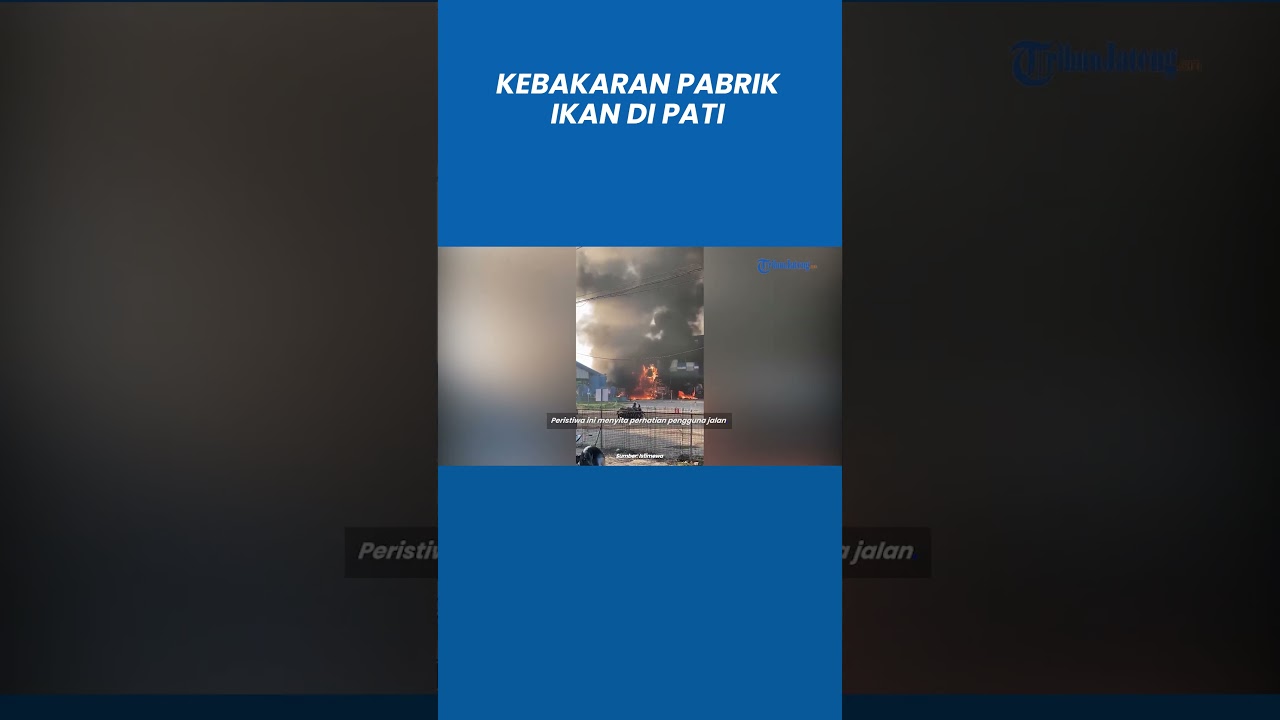 Kebakaran Hebat Pabrik Ikan di Pati, Api Muncul dari Belakang Pabrik