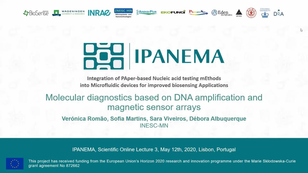Molecular diagnostics based on DNA amplification and magnetic sensor arrays