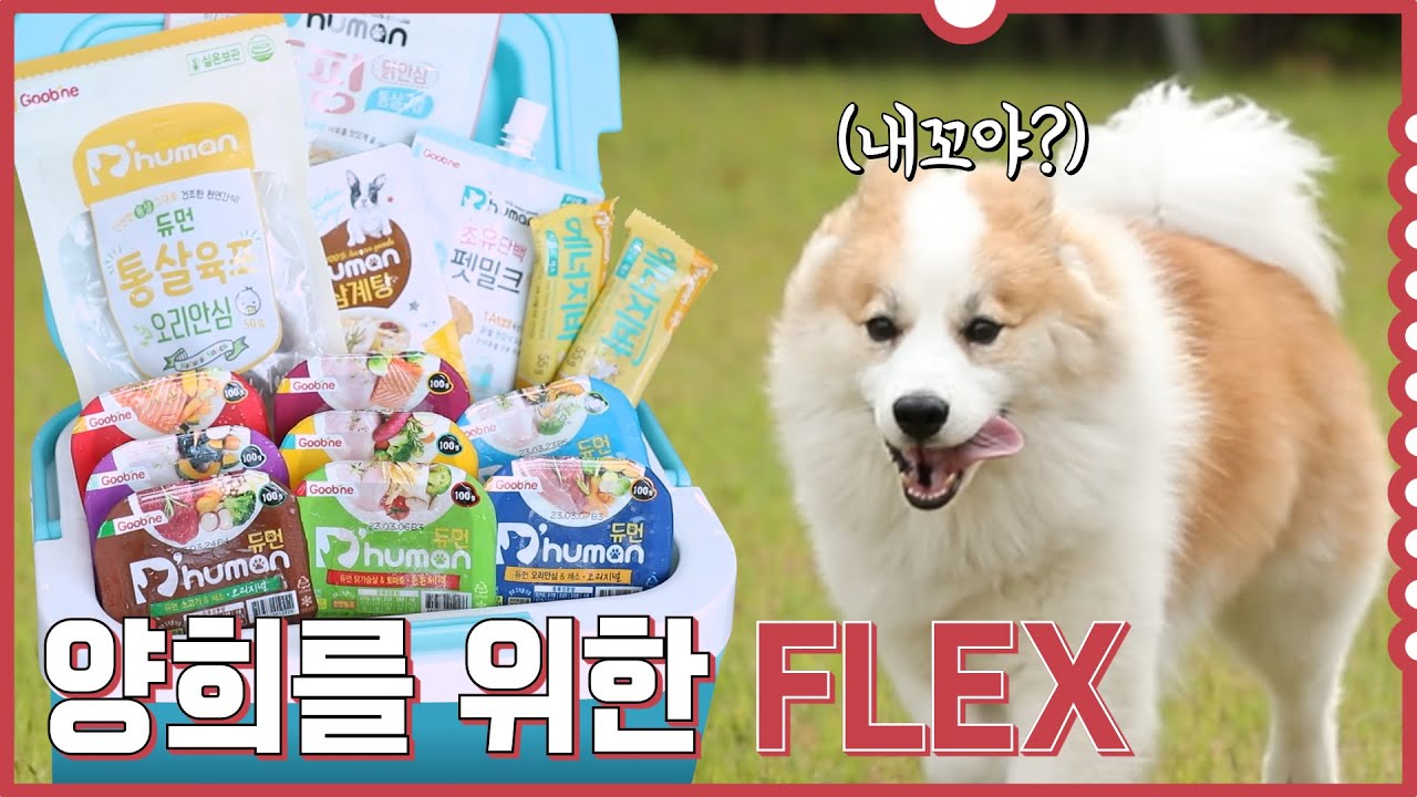 배우 성훈이 반려견 양희를 질투한 사연은 ?!