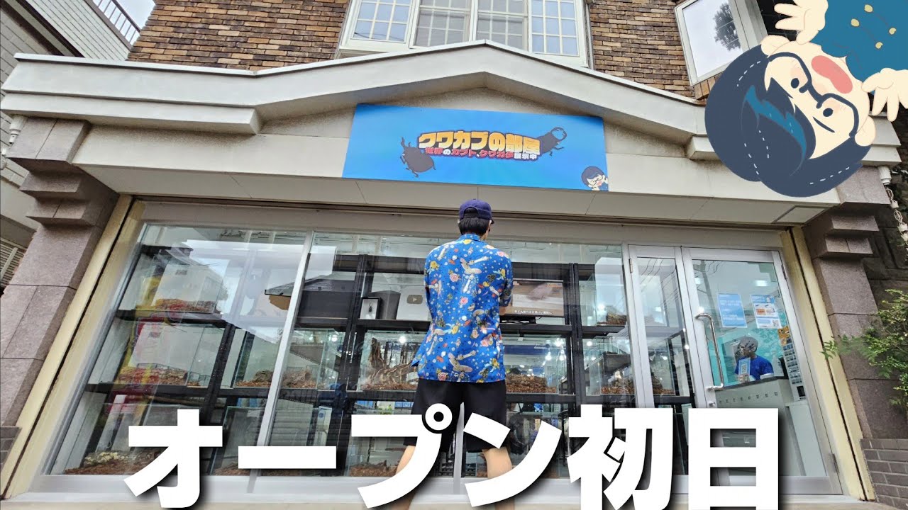 【大盛況】350種類のクワガタ、カブトムシを見れる展示施設を開業したYouTuberのオープン初日