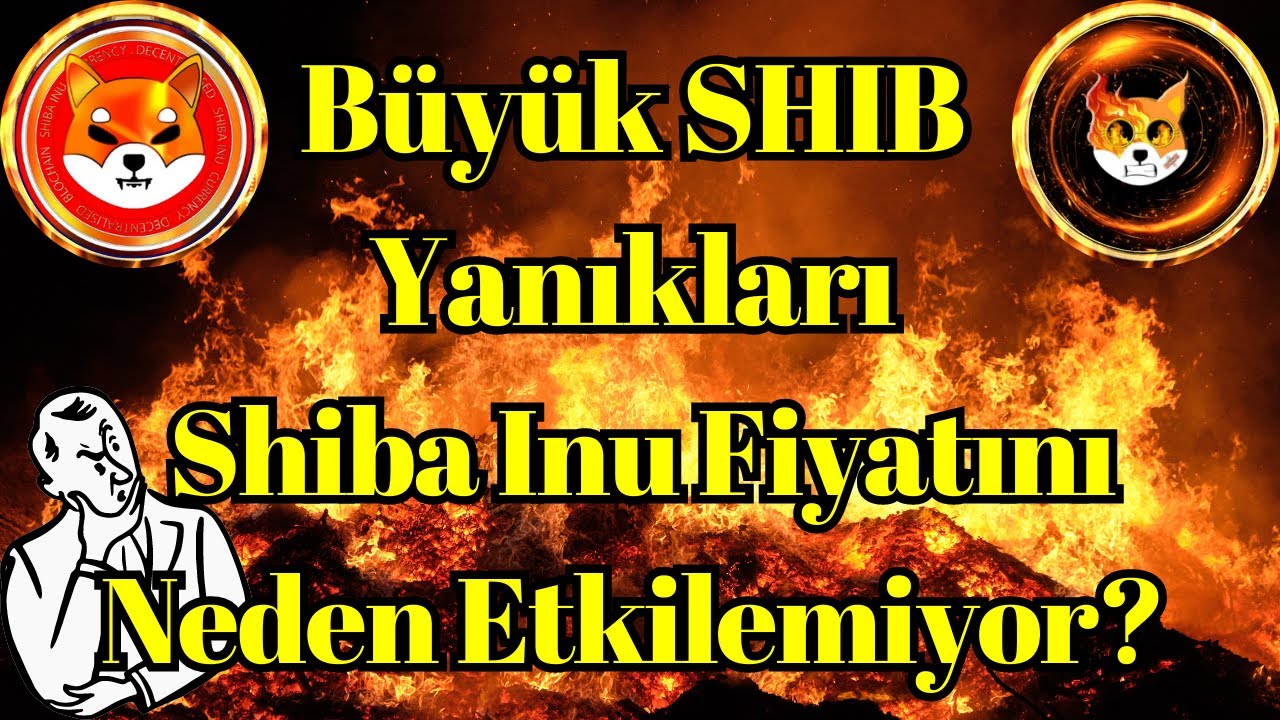 Kripto Sesli Haber | B&uuml;y&uuml;k SHIB Yanıklarının Shiba Inu Fiyatını Etkileyememesinin Nedeni