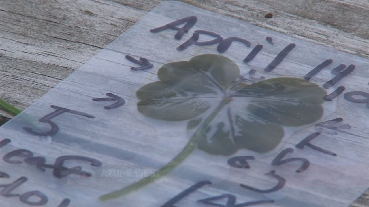 What it takes to find a five leaf clover