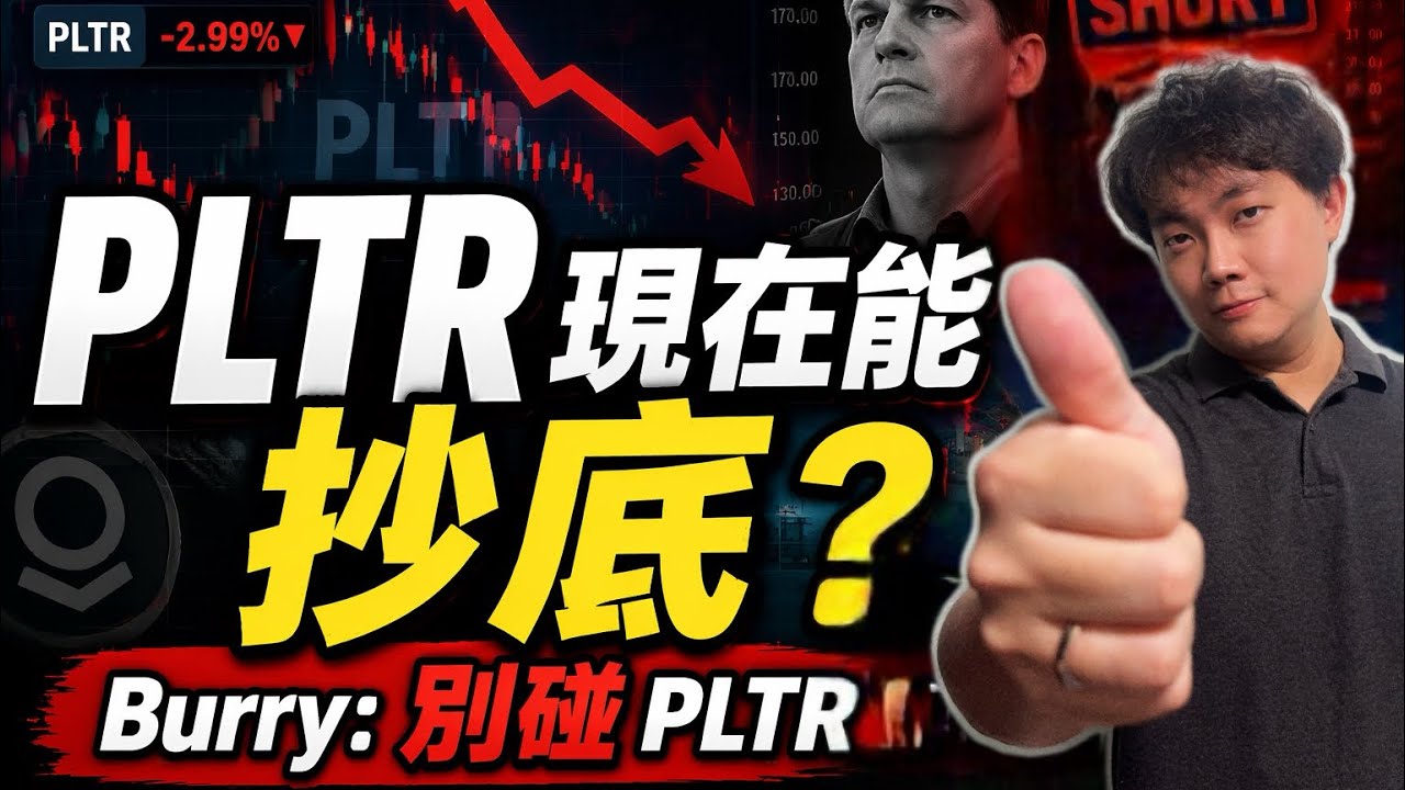 Burry看空PLTR，但数据却在爆发，到底谁对,Palantir不是问题公司，但股价为什么一直跌 #Palantir#PLTR#美股投资#AI股票#科技股分析#财报分析#股票分析#价值投资#成长股