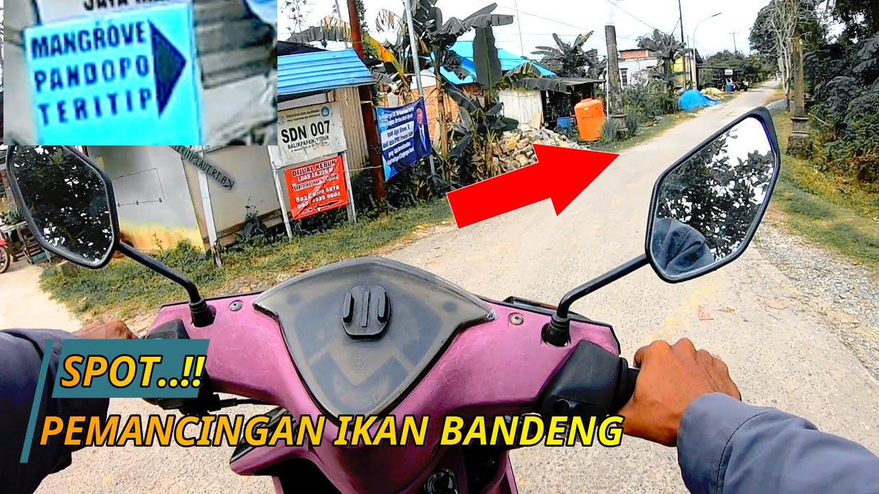 RUTE SPOT..?? PEMANCINGAN IKAN BANDENG  PENDOPO TERITIP
