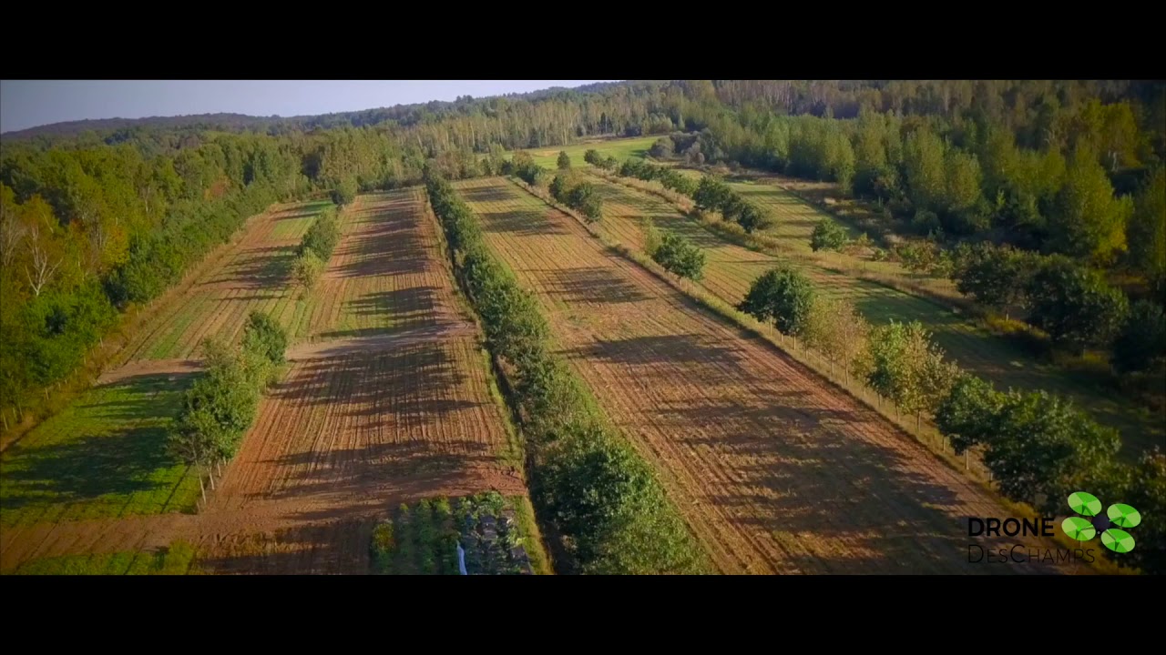 Drone Des Champs   Syst&egrave;mes agroforestiers CRAAQ