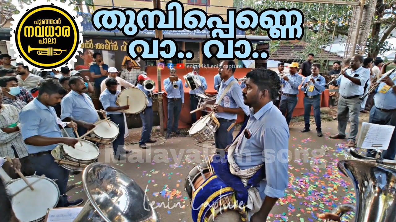 തുമ്പിപ്പെണ്ണെ വാ വാ.. Malayalam song #bandset പൂഞ്ഞാർ നവധാര പാലാ || Dhruvam movie #vibes #kerala