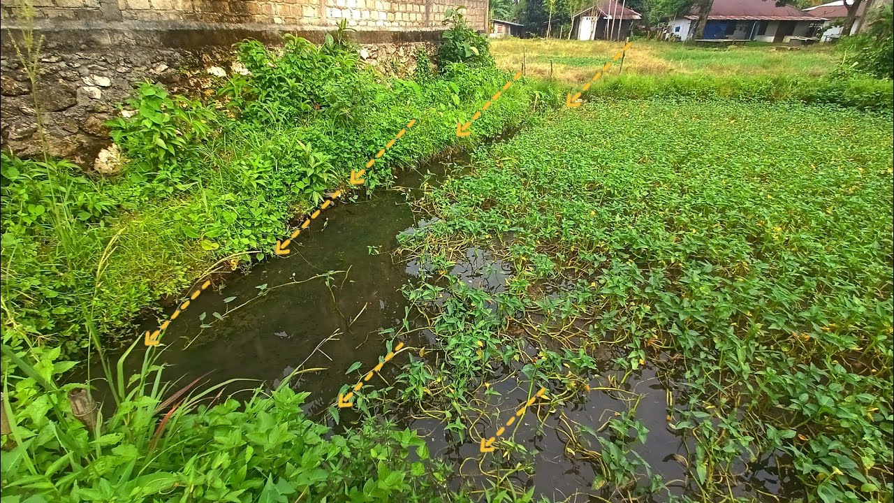 pasang 15 pancing di kolam random, ngecek selama 2 hari