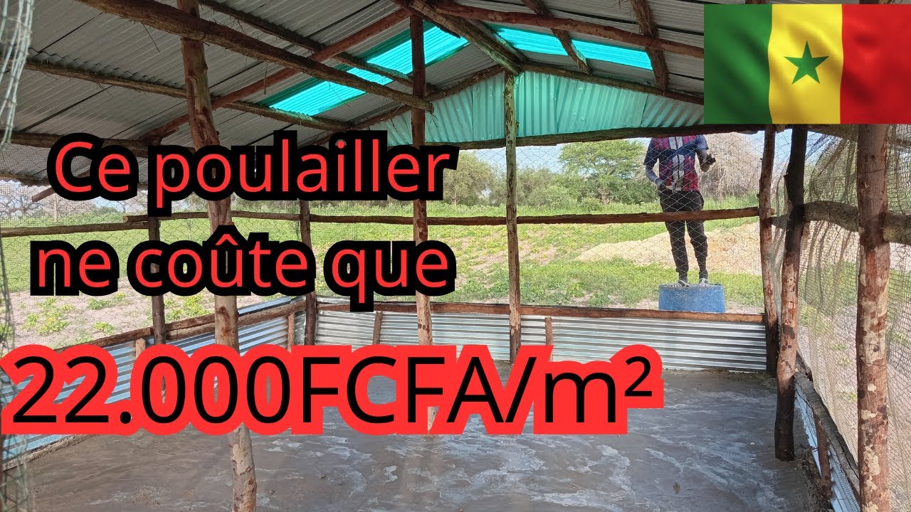 Comment construire un poulailler pas cher et solide au Sénégal