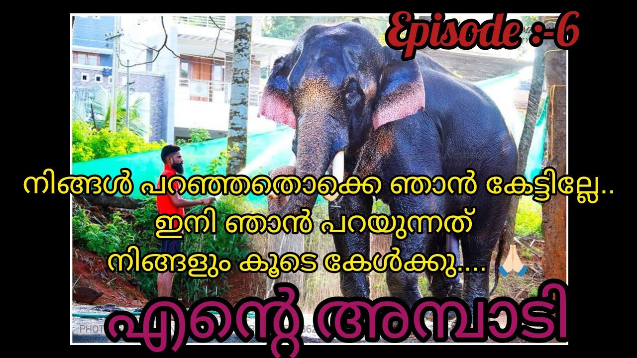 എനിക്കു പറയാൻ ഉള്ളത്  കൂടെ നിങ്ങൾ കേൾക്കുക 🙏🏻.എന്റെ അമ്പാടി 😔/malayalam elephant story video/ #aana 
