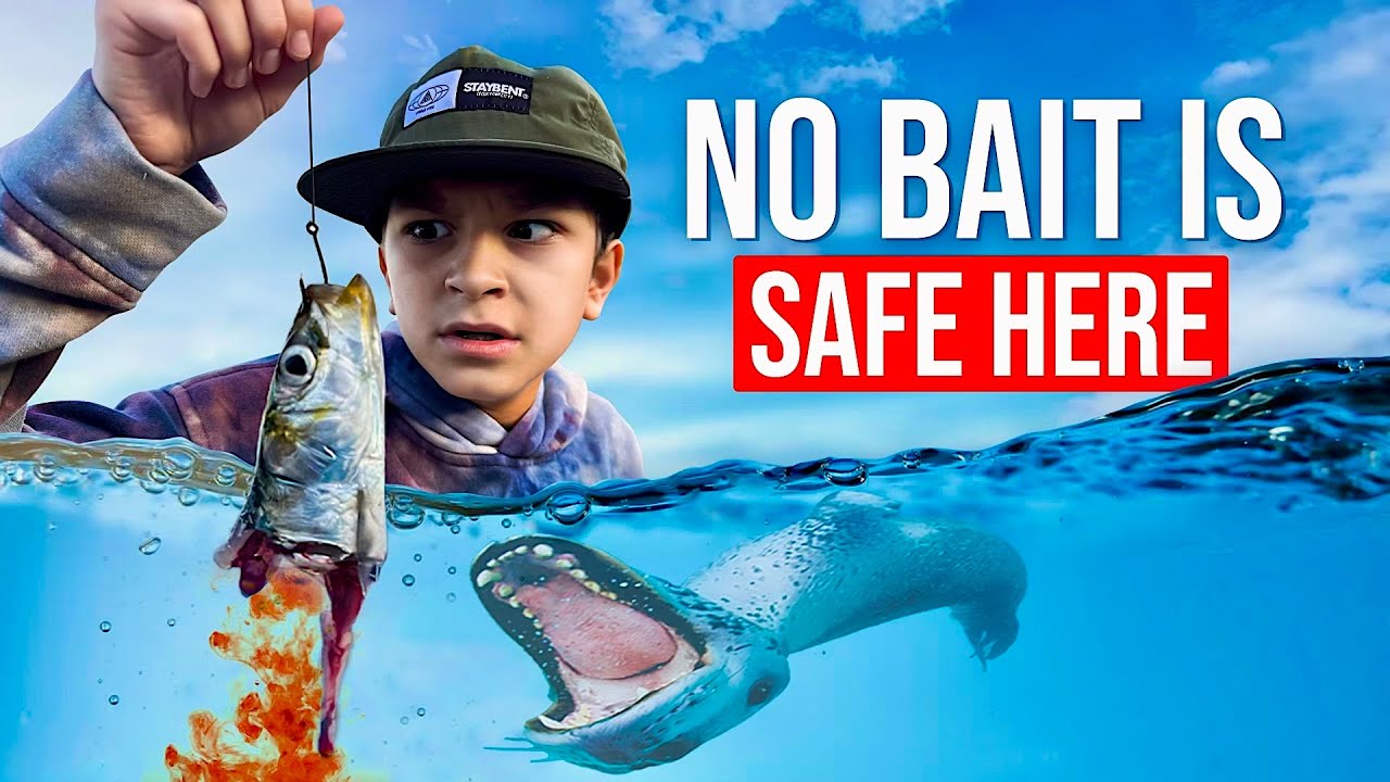 I Took My Son Fishing At The Bait Docks And Fought Off Hungry Seals!