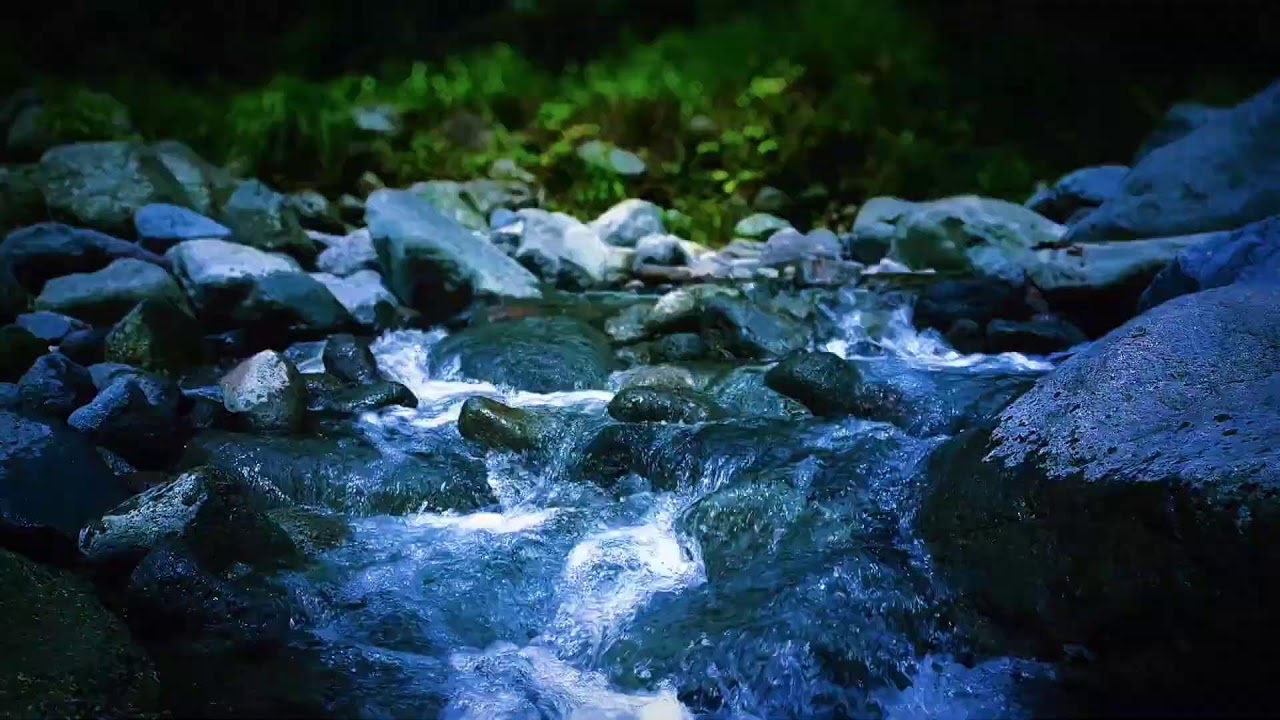 🌊 Fresh Morning River ASMR Sounds for Deep Sleep, Relaxation & Peaceful Start