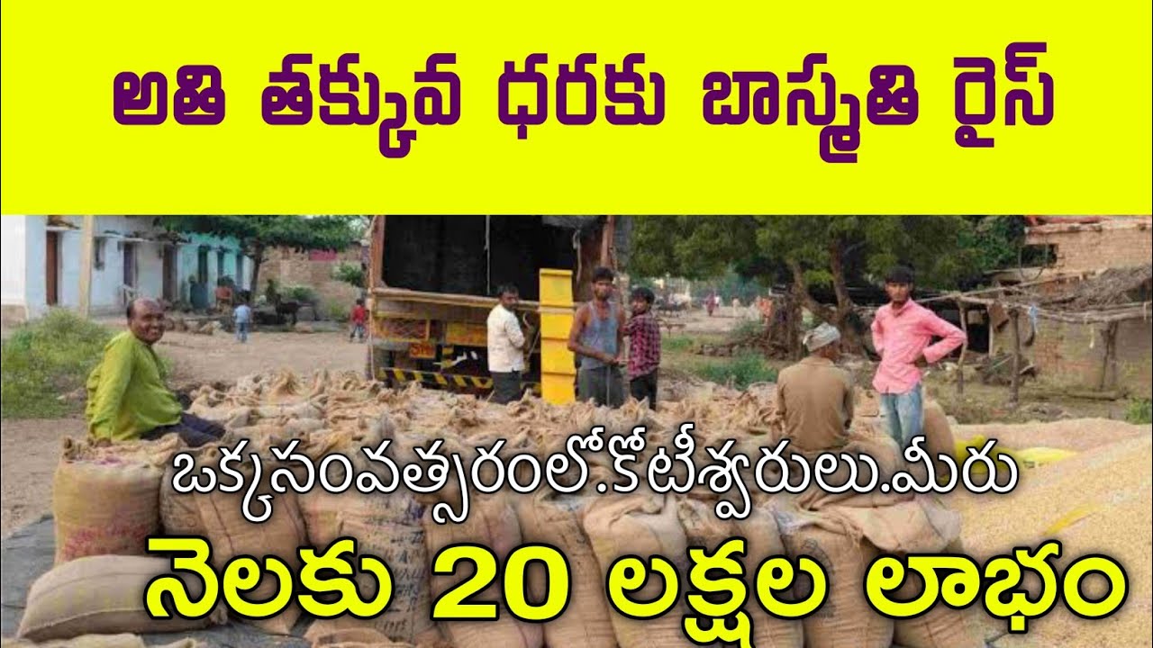 low cost basmati rice బిర్యాని బాస్మతి బియ్యం