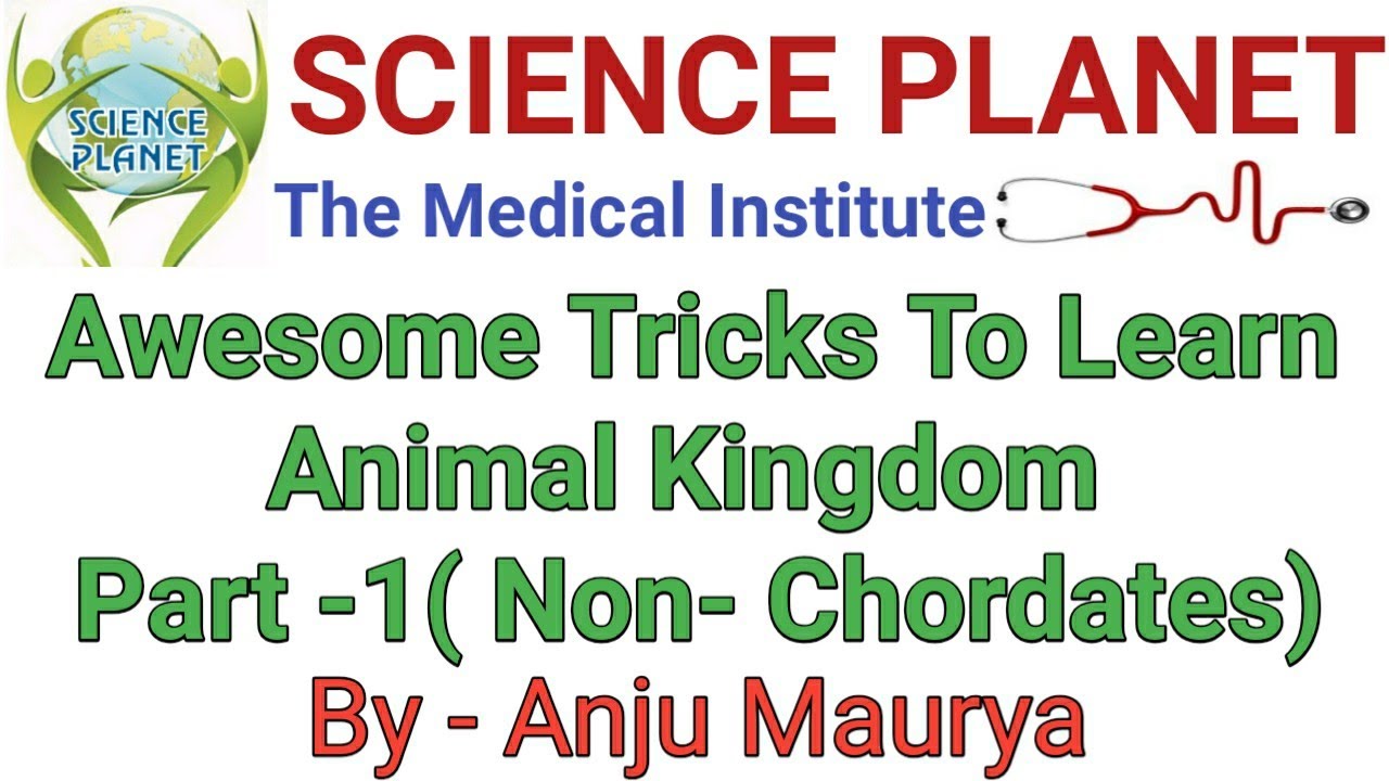 Animal Kingdom mnemonics ll Part -1 ll By Anju Maurya