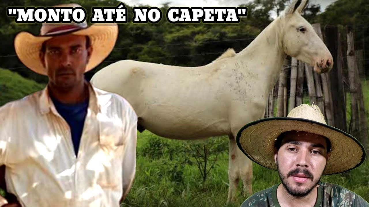 O Pe&atilde;o que montou no Diabo um causo real do sert&atilde;o Mineiro.. (Pedro Bento e Z&eacute; da Estrada) Causos
