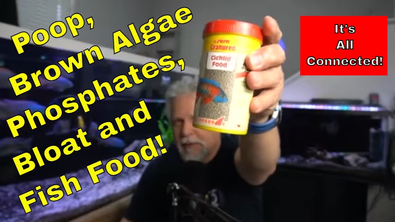 Fish Food and a lot More! - 100% LEGIT!  -  *The FULL SERA Interview*