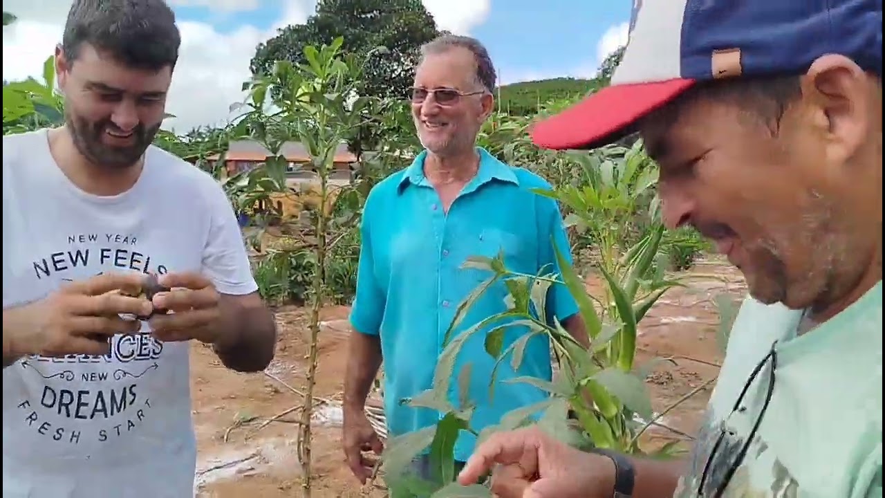 Clones de rondônia.vizitando escrito dó canal parte (2)