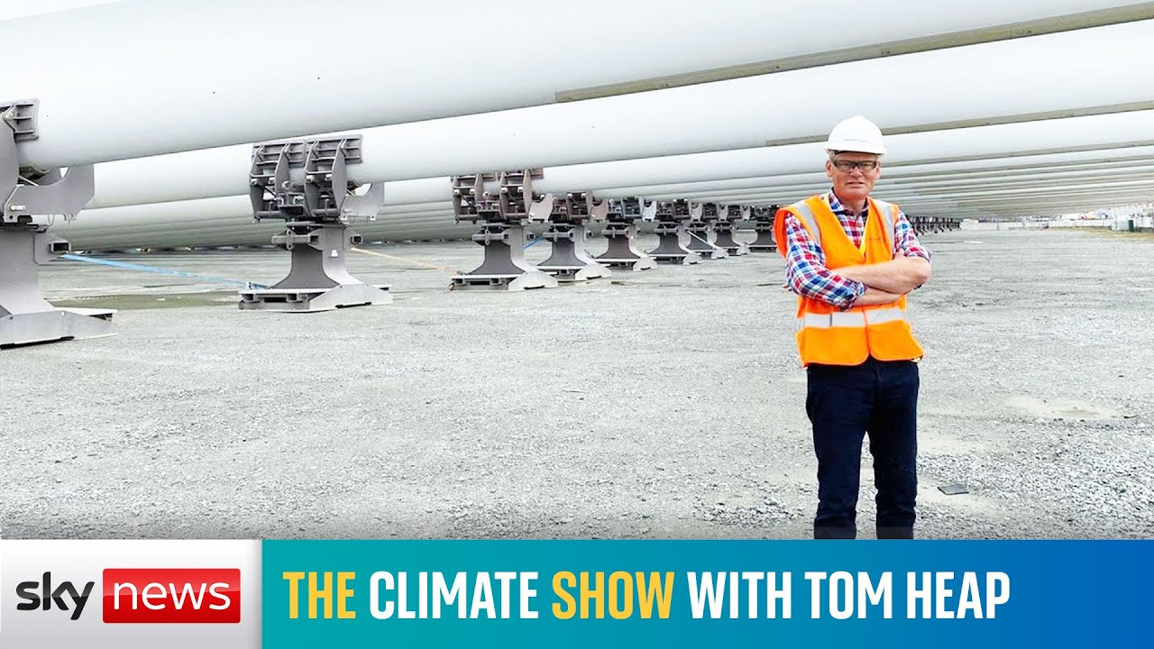 The Climate Show with Tom Heap: Turbines on the Humber