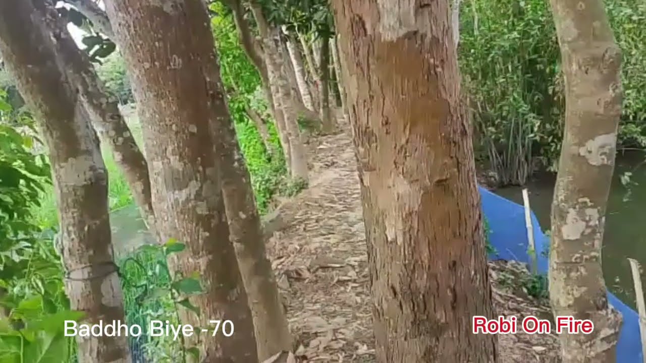 বাধ্য বিয়ে (Part-70) Baddho Biye। Robi On Fire