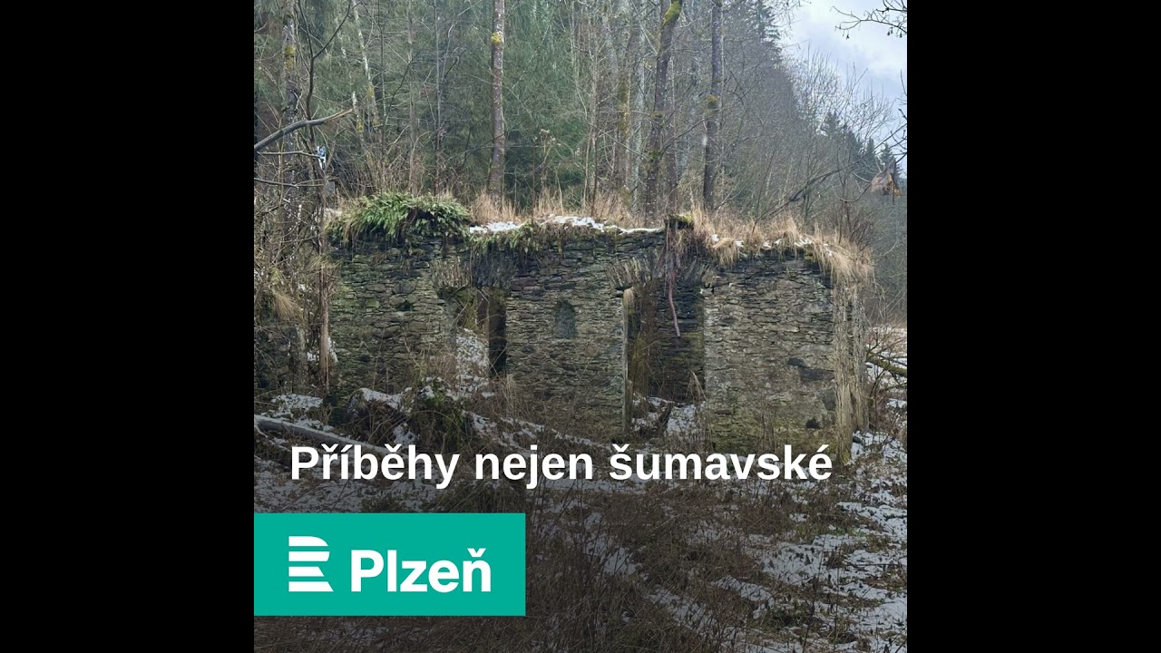Příběh Messerschmittu z Pekelského údolí. Pilot ochránil Hartmanice a po letech se na místo vrátil