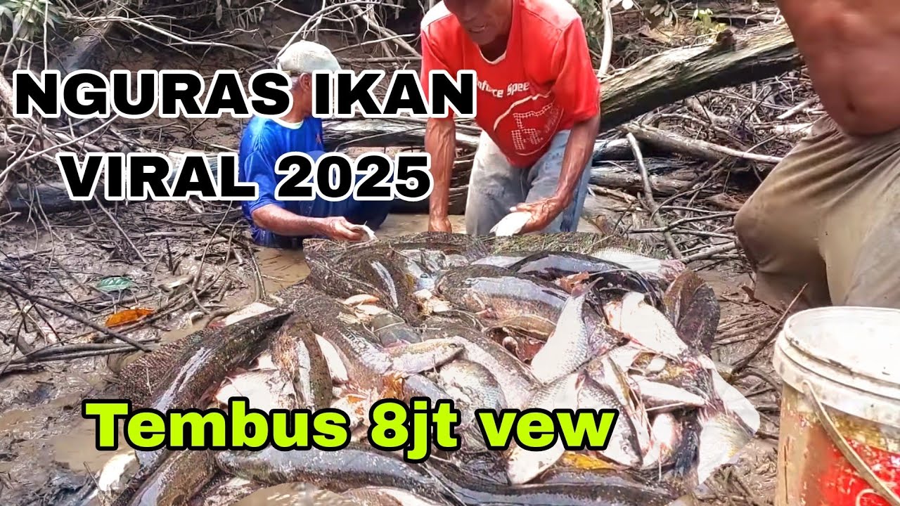 NGURAS IKAN  DI SUNGAI SAMPAI VIRAL BESAR