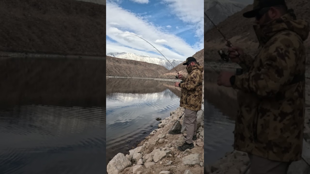 Catching Chunky Rainbow Trout With Mice Tails