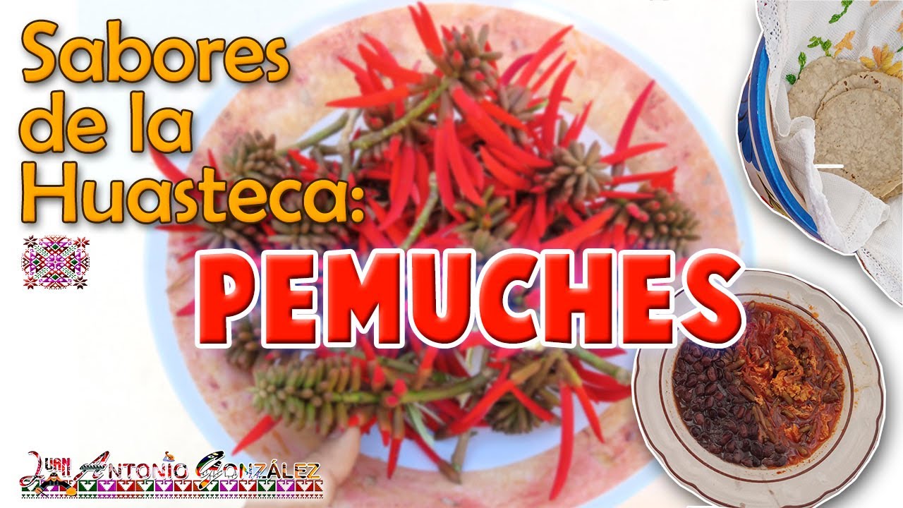 Sabores de la Huasteca | #1 Pemuches