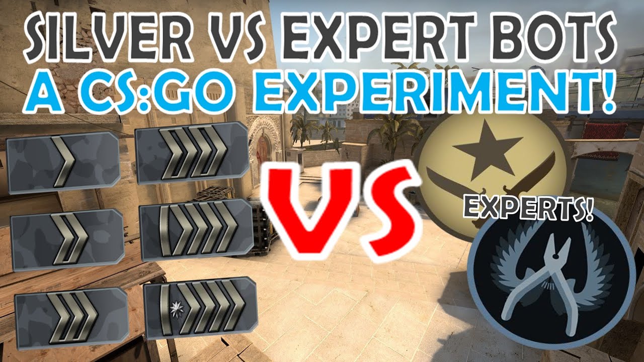 Silver Rank VS Expert BOTS! | A CS:GO Experiment