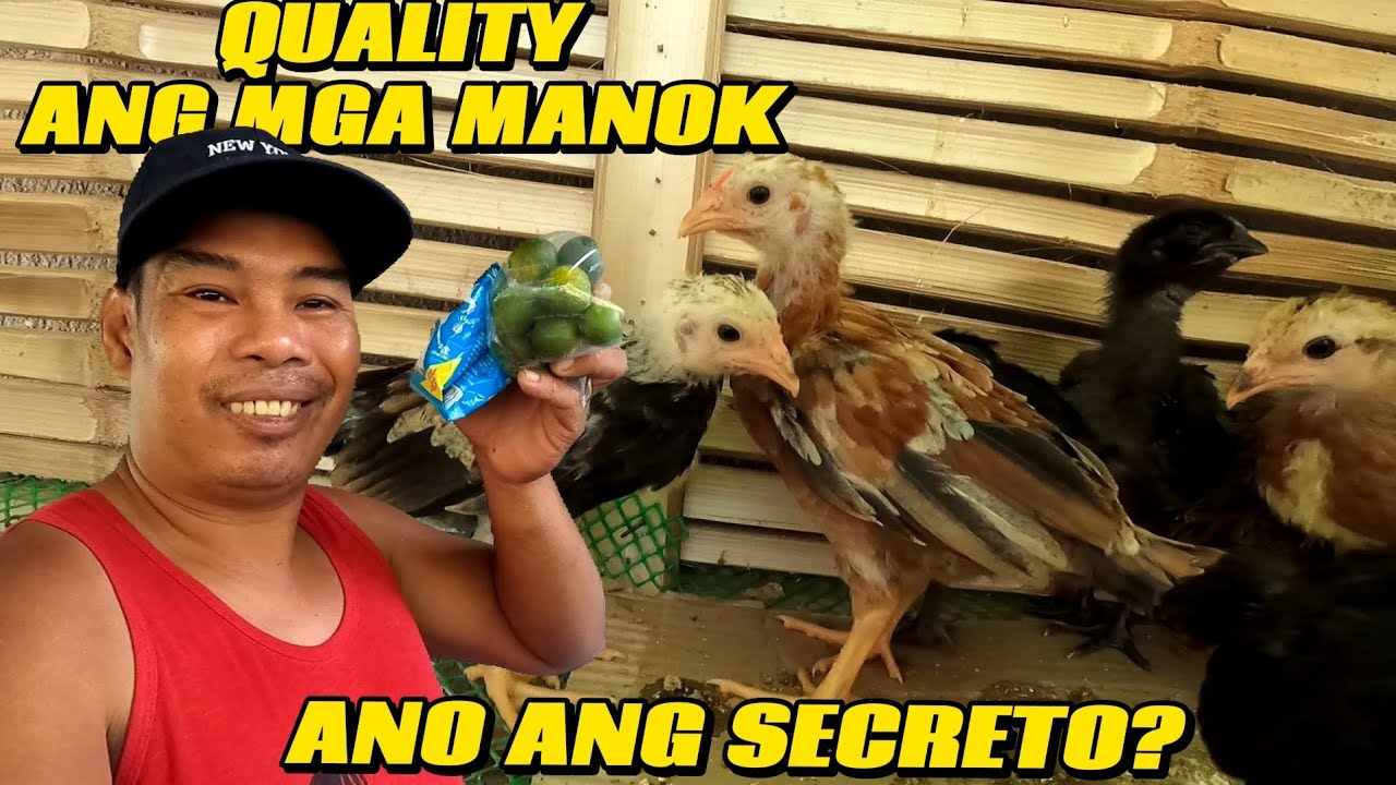 VLOG 25:ANO ANG SEKRETO? 3 WEEKS PA LANG PERO ANG LALAKI NILA