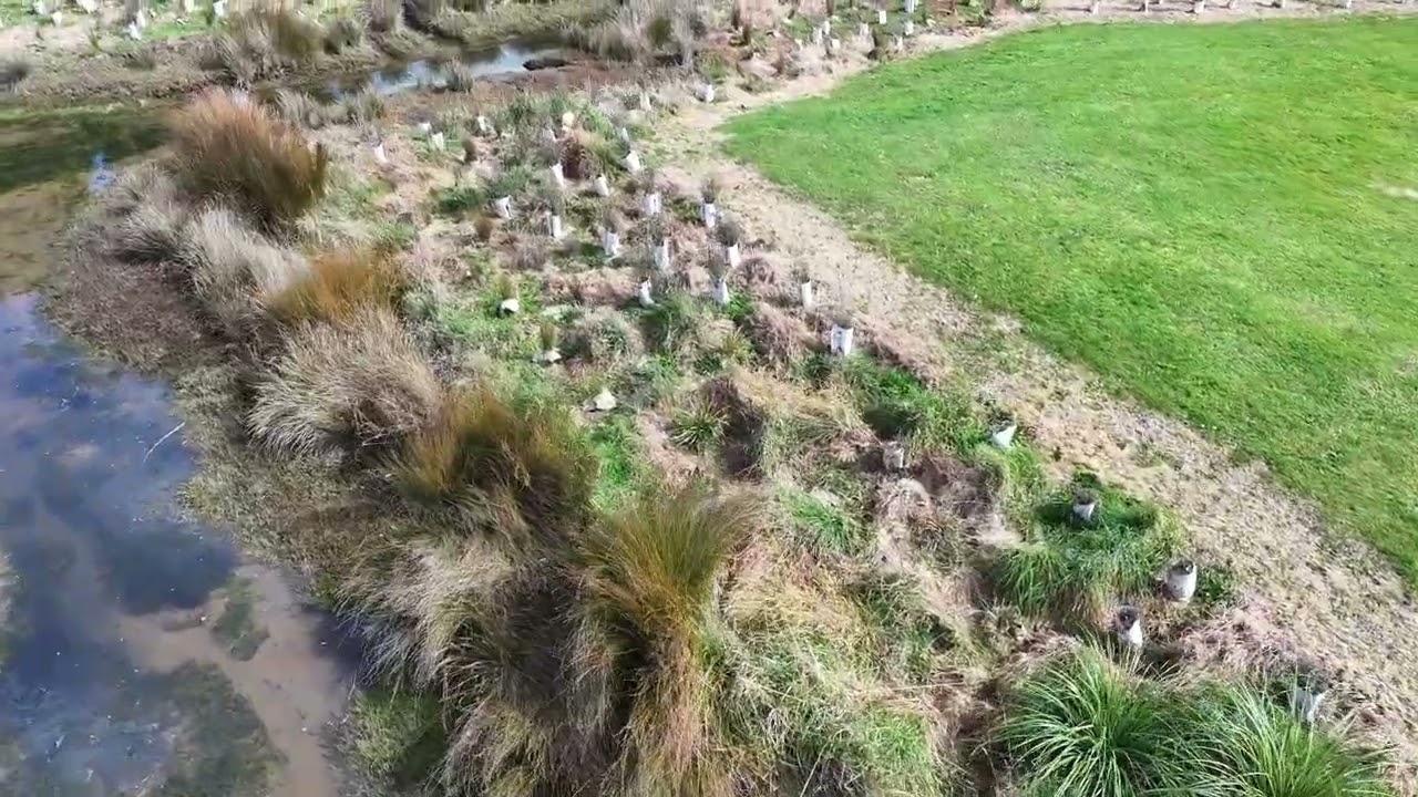 Takapūwāhia Riparian Planting Update | 8 September 2025 | Aerial Monitoring Survey