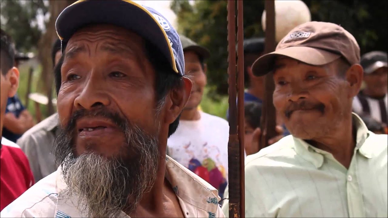 Tiro al blanco con arco y flecha  -  Indígenas aché