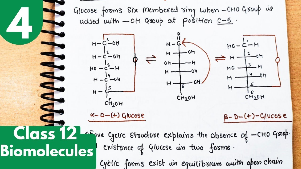 4) Cyclic structure of Glucose| Anomers| Biomolecules Class12 chemistry #neet #jee #ncert