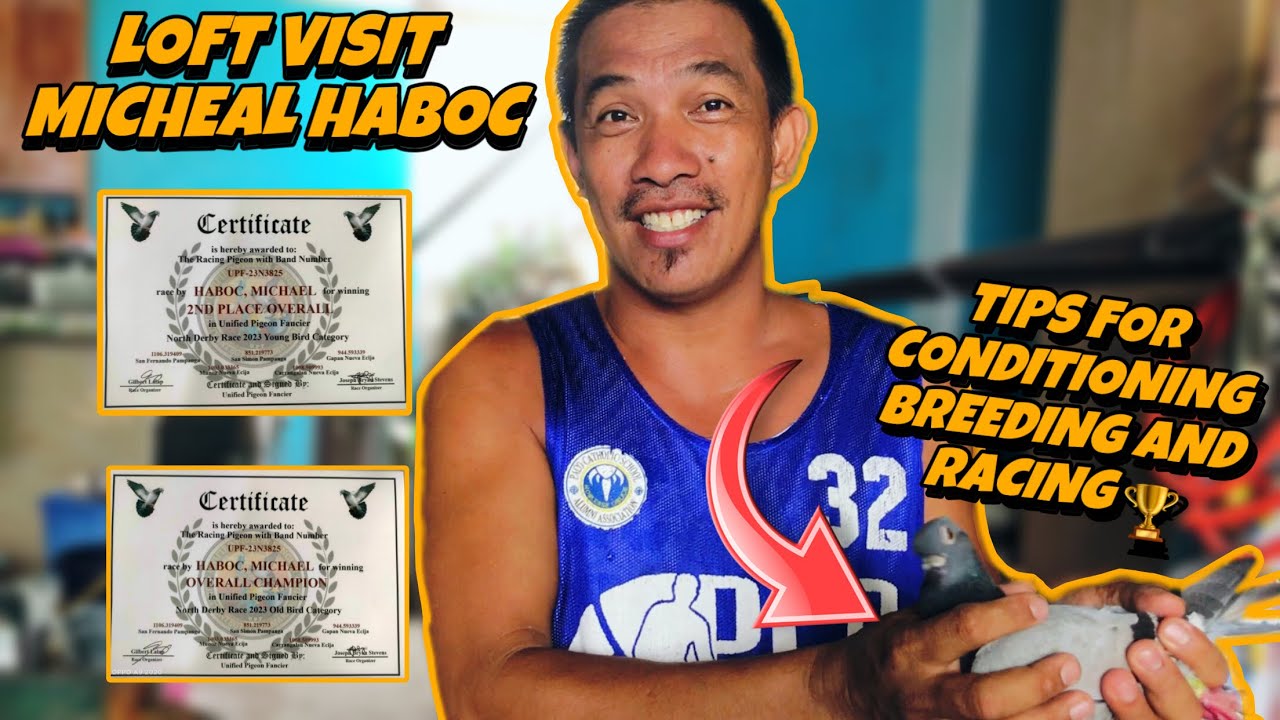 TIPS FOR CONDITIONING BREEDING AND RACING BY IDOL MICHEAL HABOC