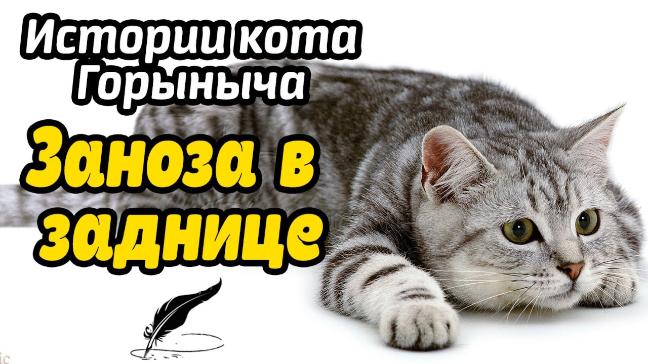 Заноза в заднице