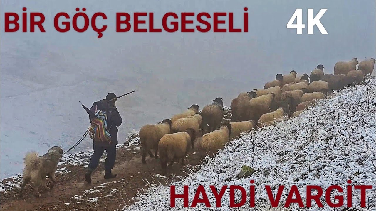 HAYDE VARGİT || KADIRGA YAYLASI GÖÇ BELGESELİ