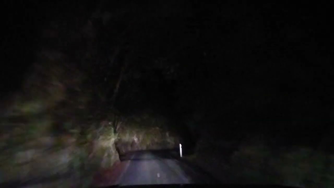 New Zealand Forest Night Drive 83 return - Akatarawa Road Rambles