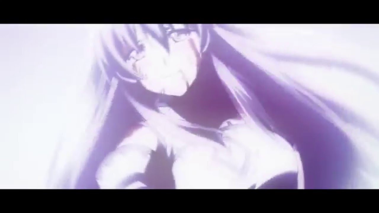 Akame Ga Kill || Sheele's Death (AMV)