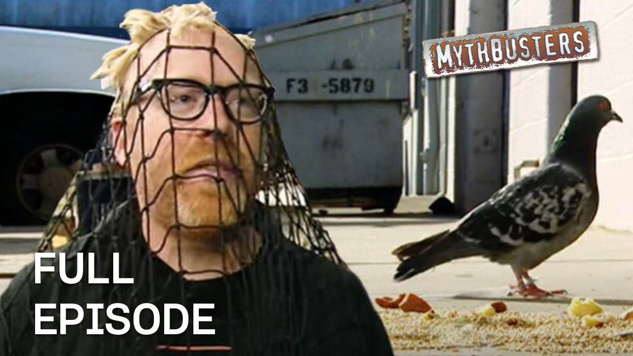Birds in a Truck | MythBusters | Season 5 Episode 9 | Full Episode