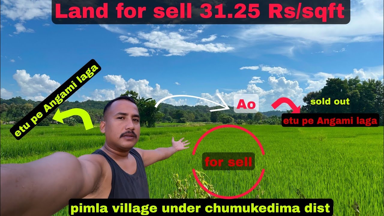 Land for Sale at Rs 31.25/sqft - Pimla Village, Under Chumukedima Dist.