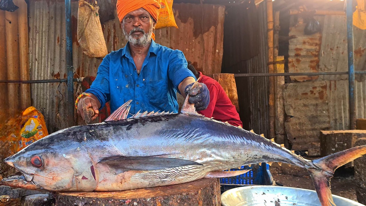 KASIMEDU FISH MARKET LATEST 🔥 HEAVY TUNA 🐟 FISH CUTTING 🔥  #kasimedufishmarketlatest #speedselvam