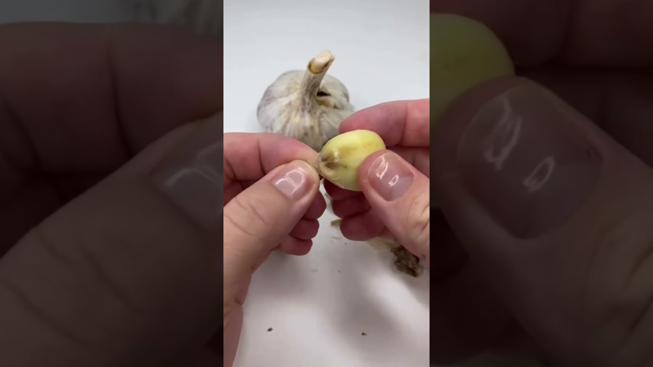 SHTP. Put Garlic in the Ace...
